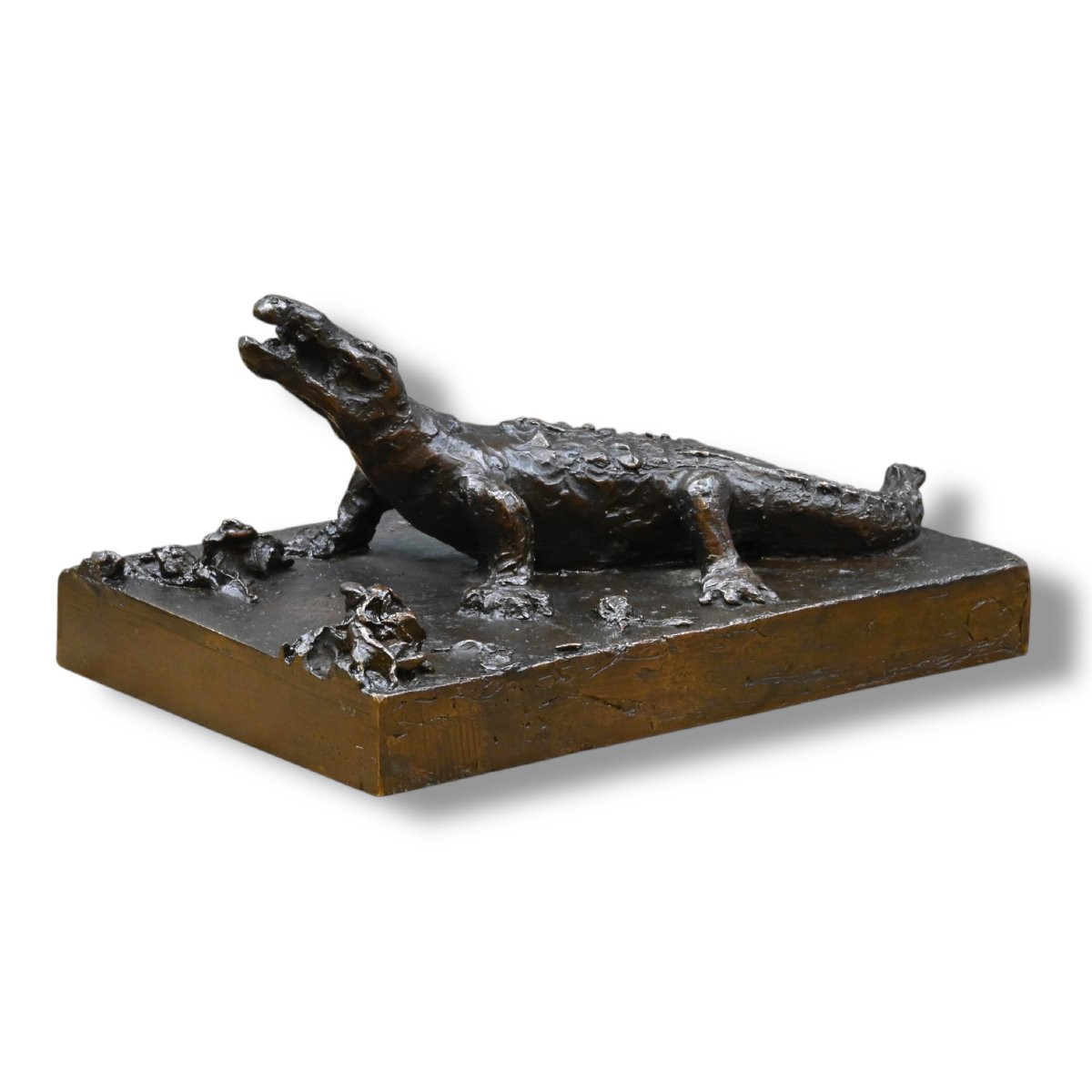 Emilio Bisi - Coccodrillo in Bronzo - Italia Fine XIX Secolo-photo-2